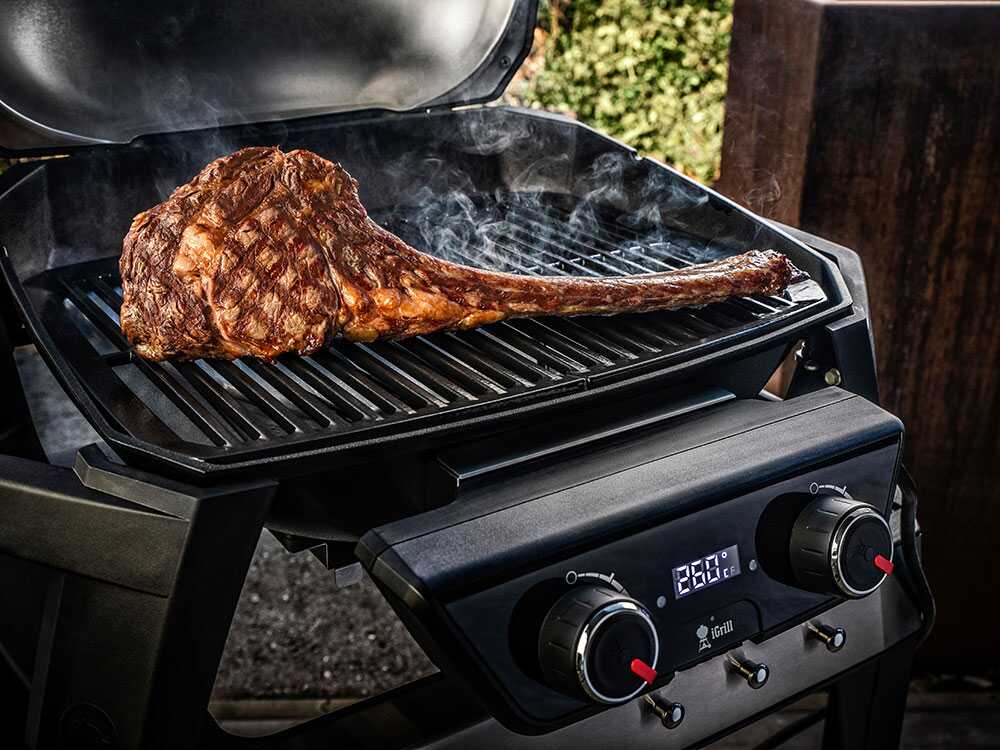 Barbacoa eléctrica con carro – Weber Pulse 2000